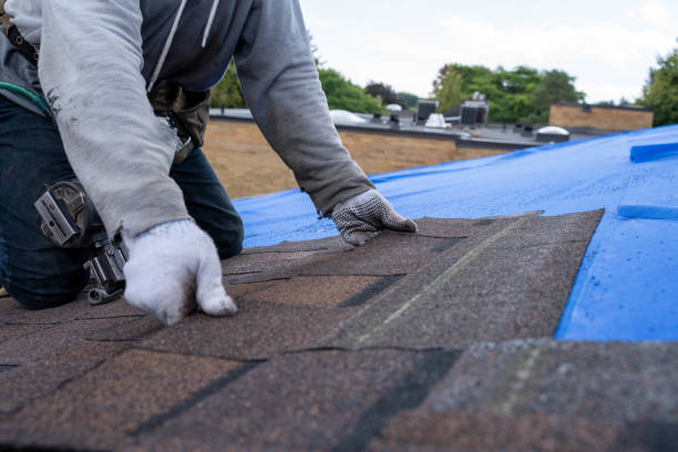 Best Commercial Roofing Services  in Crete, IL